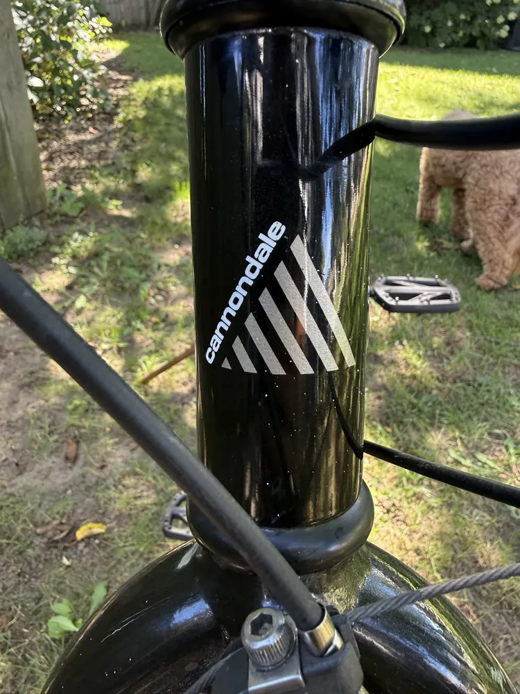 Cannondale head tube badge on glossy black paint with silver flake.